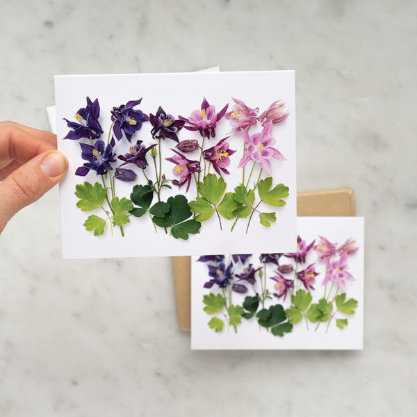 Folding card - Columbine flowers
