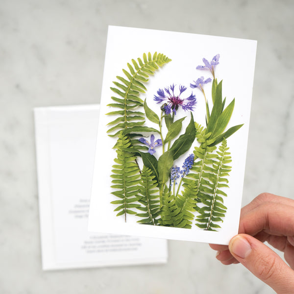 Folding card - Ferns and blue flowers