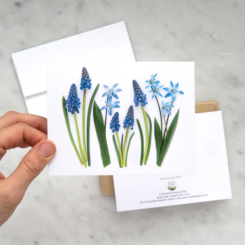 Folding card - Blue Spring card