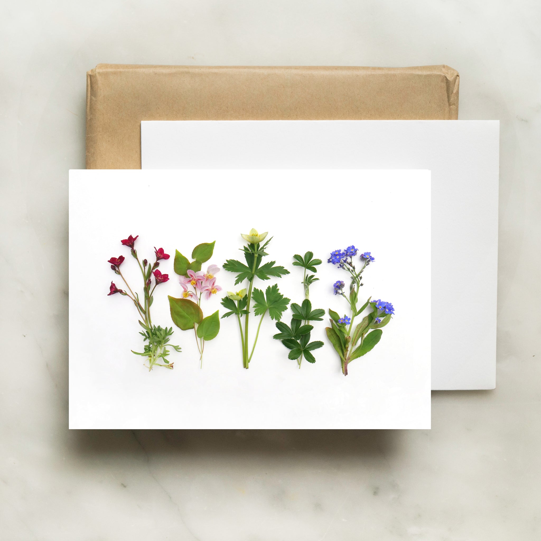 Folding card - Rainbow of wildflowers