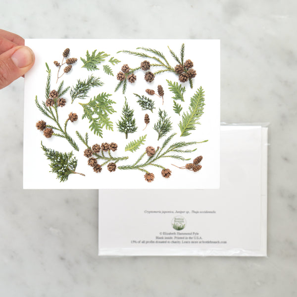 Folding card - Evergreens with tiny tree