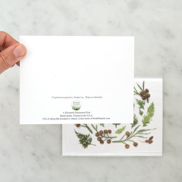 Folding card - Evergreens with tiny tree
