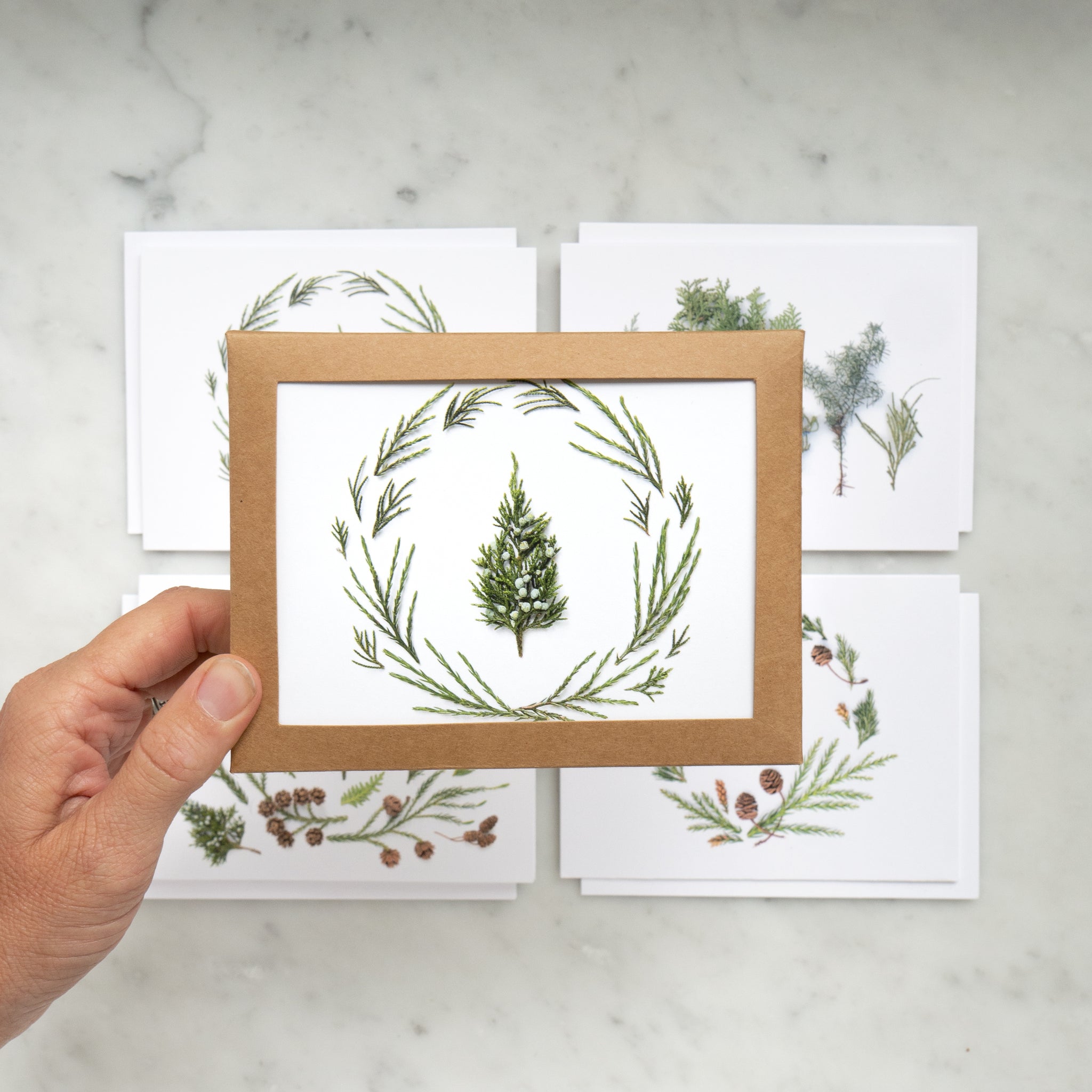 Card set - Evergreens and Trees