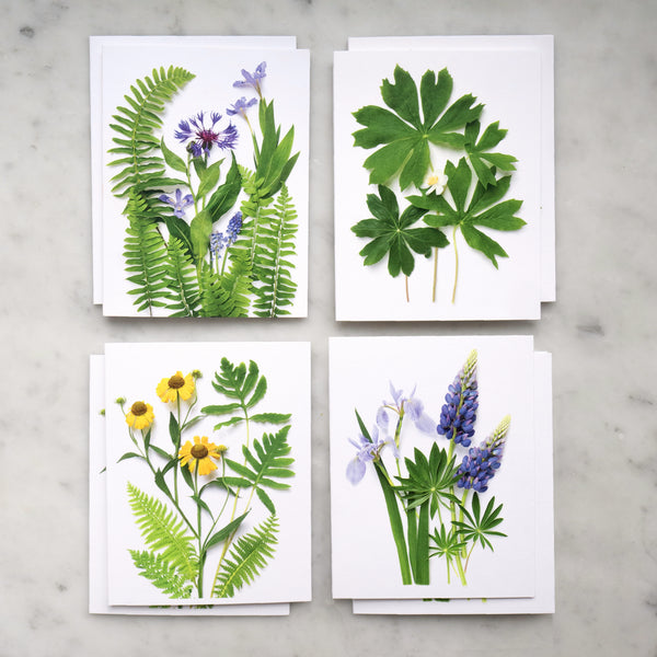 Card set - Ferns and Flowers