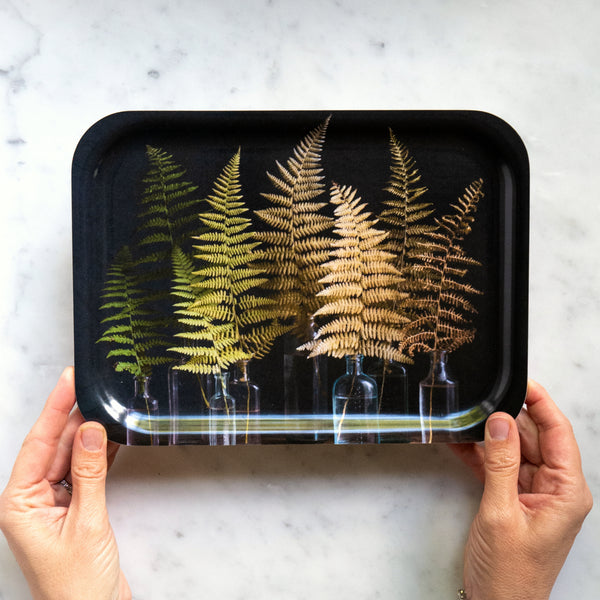 Tray - Ombre ferns