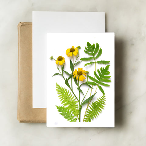 Folding card - Ferns and Helenium