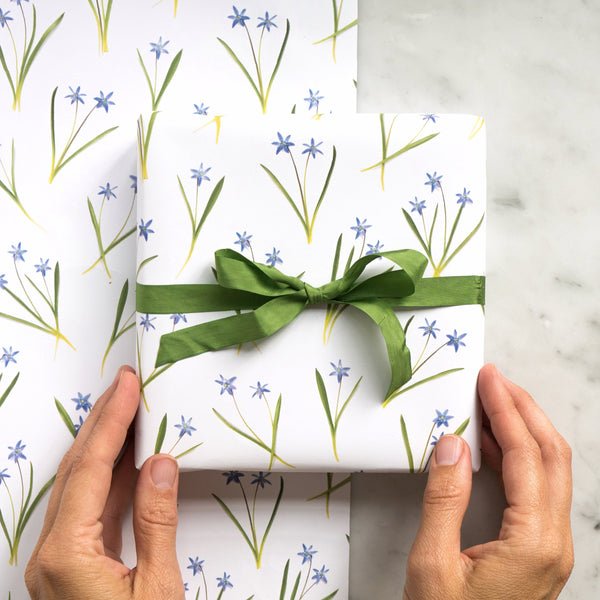 Gift wrap ~ blue scilla