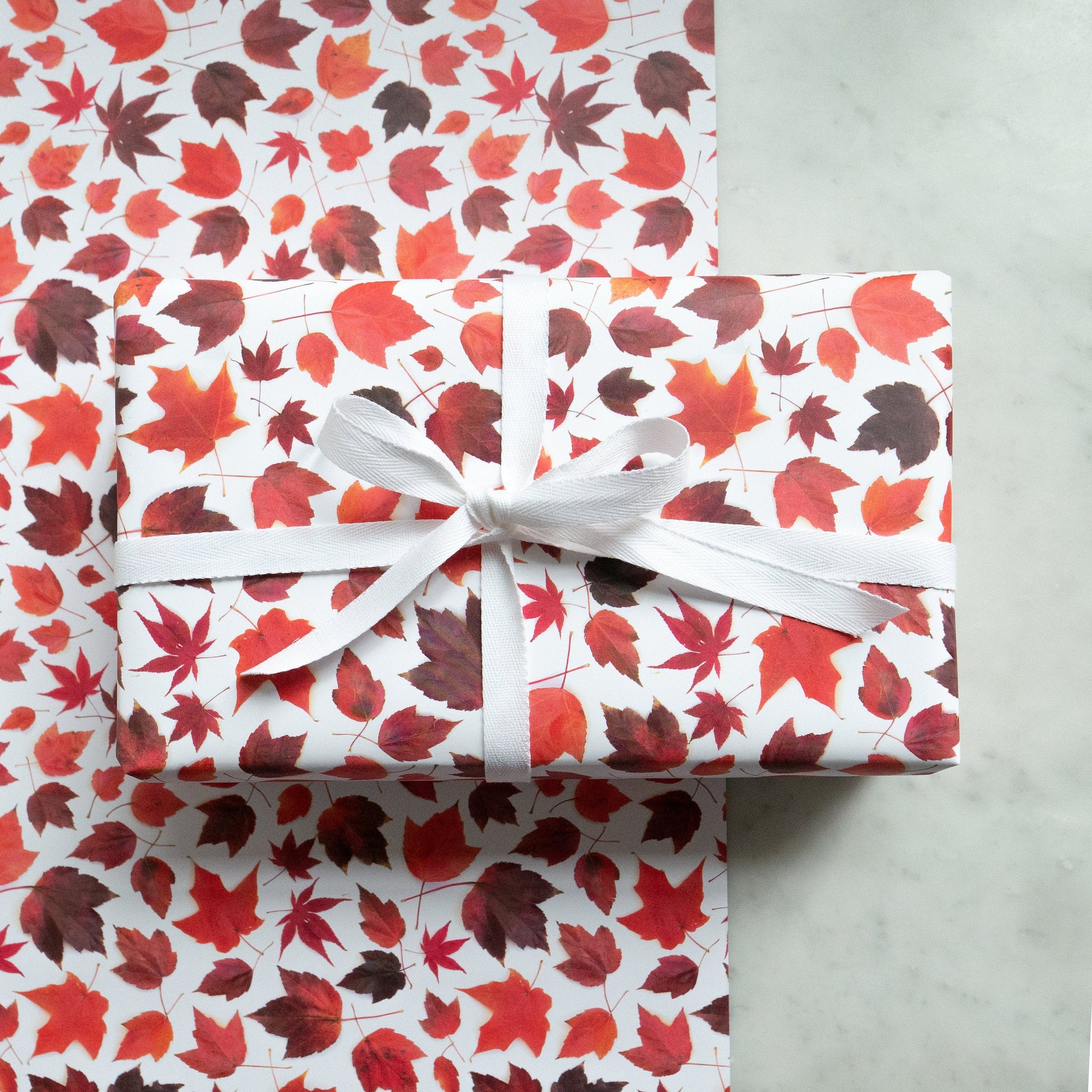 Gift wrap ~ red maple
