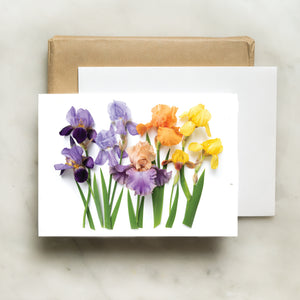 Folding card - Irises