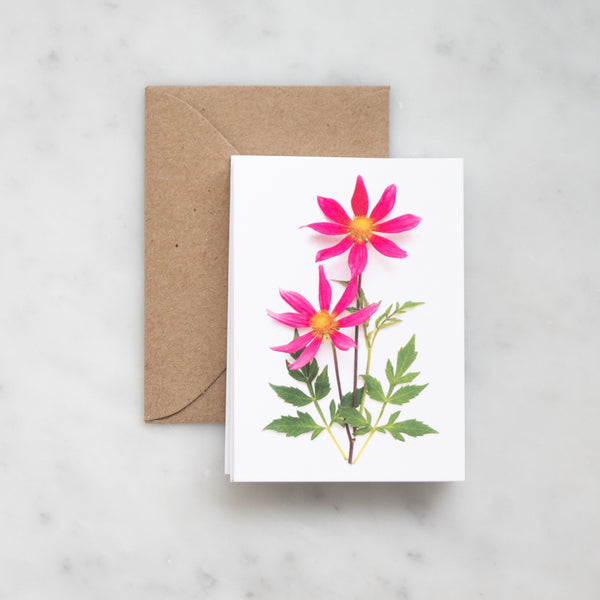 Mini card - Pink Dahlias