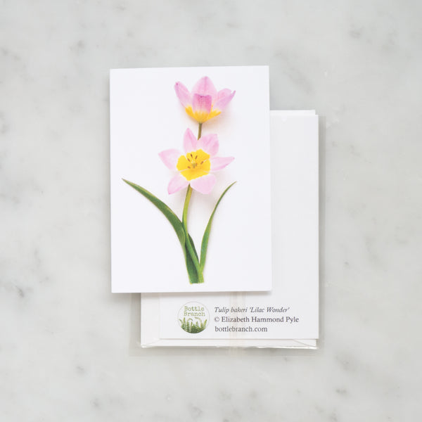 Mini card - Pink Tulips