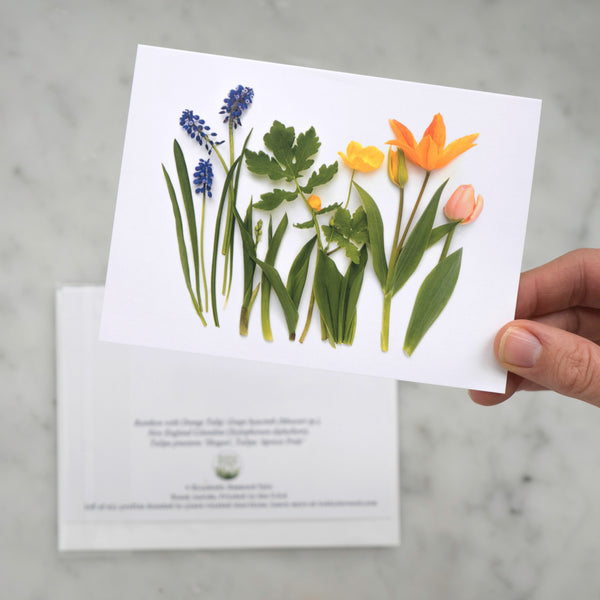 Folding card - Spring rainbow with orange tulip