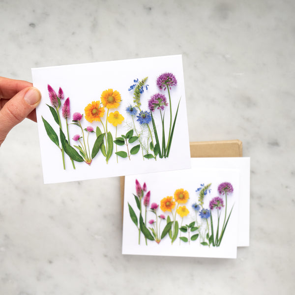Folding card - Rainbow with Allium